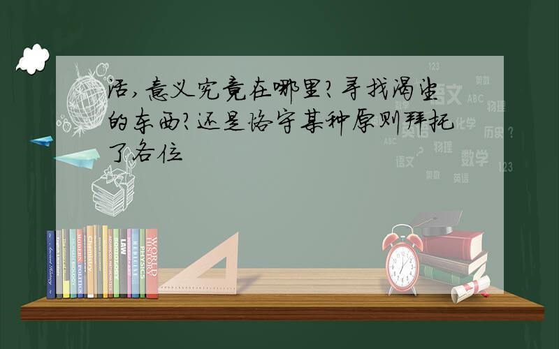 活,意义究竟在哪里?寻找渴望的东西?还是恪守某种原则拜托了各位