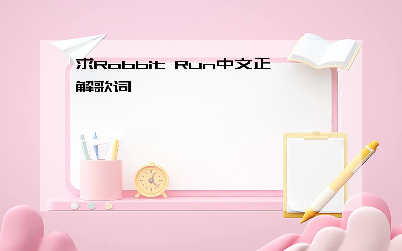 求Rabbit Run中文正解歌词