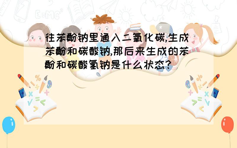 往苯酚钠里通入二氧化碳,生成苯酚和碳酸钠,那后来生成的苯酚和碳酸氢钠是什么状态?