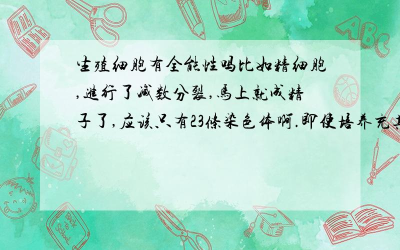 生殖细胞有全能性吗比如精细胞,进行了减数分裂,马上就成精子了,应该只有23条染色体啊.即使培养充其量培育成单倍体生物,怎