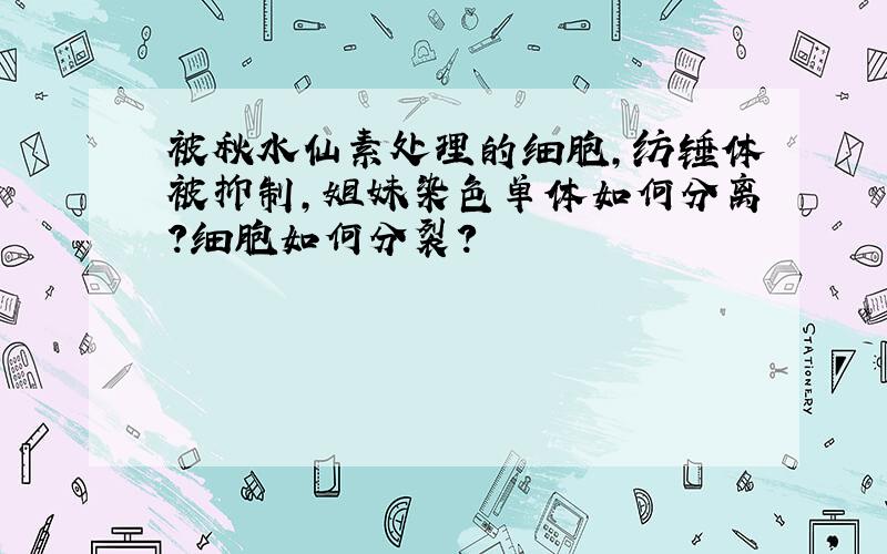 被秋水仙素处理的细胞,纺锤体被抑制,姐妹染色单体如何分离?细胞如何分裂?