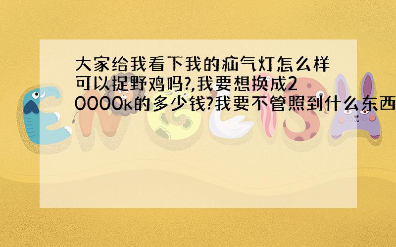 大家给我看下我的疝气灯怎么样可以捉野鸡吗?,我要想换成20000k的多少钱?我要不管照到什么东西我都要它们睁不开眼!