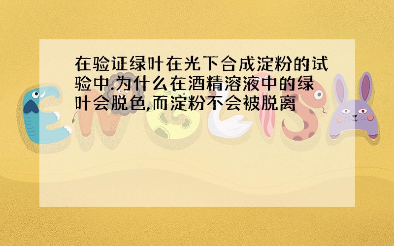 在验证绿叶在光下合成淀粉的试验中.为什么在酒精溶液中的绿叶会脱色,而淀粉不会被脱离