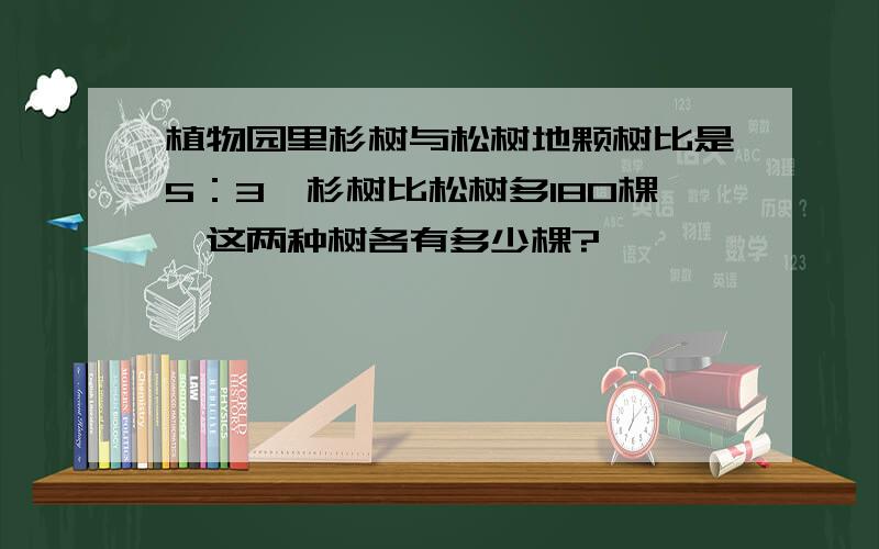 植物园里杉树与松树地颗树比是5：3,杉树比松树多180棵,这两种树各有多少棵?