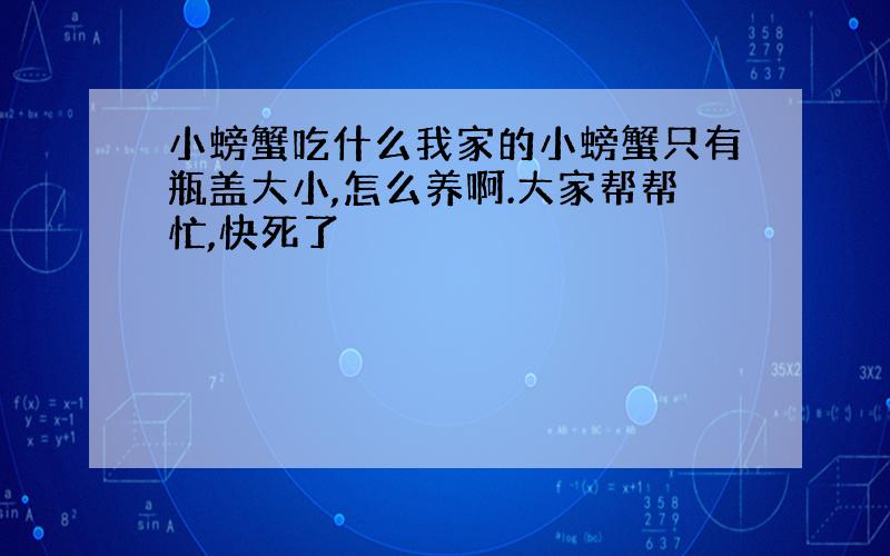 小螃蟹吃什么我家的小螃蟹只有瓶盖大小,怎么养啊.大家帮帮忙,快死了