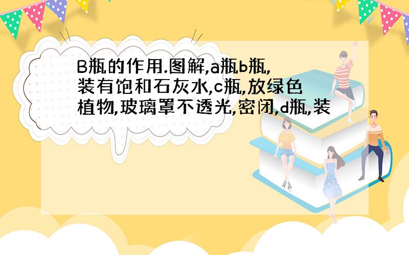 B瓶的作用.图解,a瓶b瓶,装有饱和石灰水,c瓶,放绿色植物,玻璃罩不透光,密闭,d瓶,装