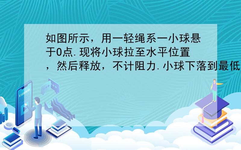 如图所示，用一轻绳系一小球悬于O点.现将小球拉至水平位置，然后释放，不计阻力.小球下落到最低点的过程中，下列表述正确的是