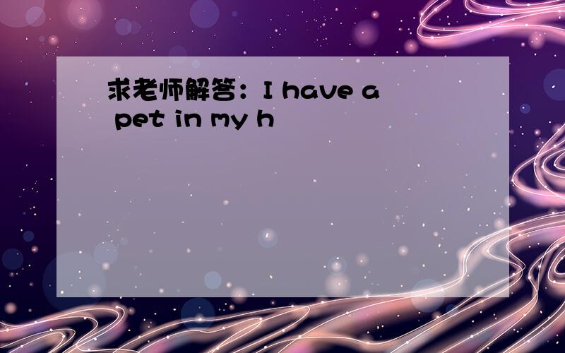 求老师解答：I have a pet in my h