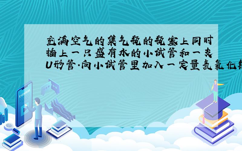 充满空气的集气瓶的瓶塞上同时插上一只盛有水的小试管和一支U形管.向小试管里加入一定量氢氧化钠固体,则U形管内液面变化情况