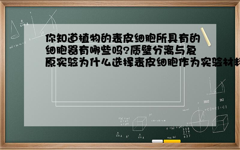 你知道植物的表皮细胞所具有的细胞器有哪些吗?质壁分离与复原实验为什么选择表皮细胞作为实验材料而不是叶