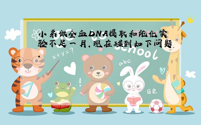 小弟做全血DNA提取和纯化实验不足一月,现在碰到如下问题,