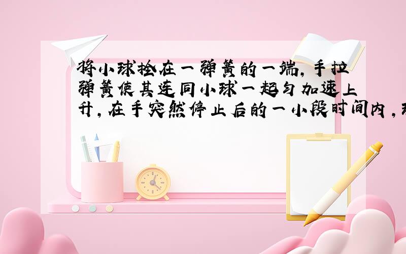 将小球拴在一弹簧的一端,手拉弹簧使其连同小球一起匀加速上升,在手突然停止后的一小段时间内,球将如何运动