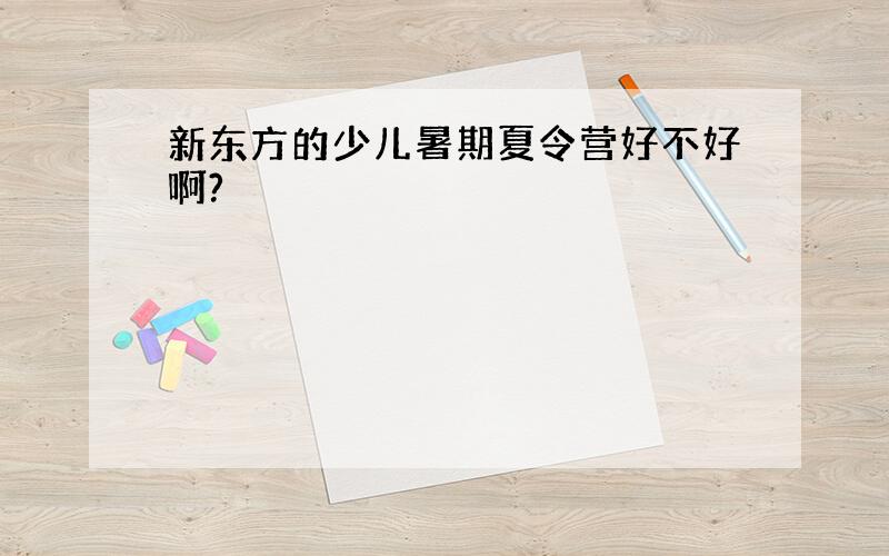 新东方的少儿暑期夏令营好不好啊?