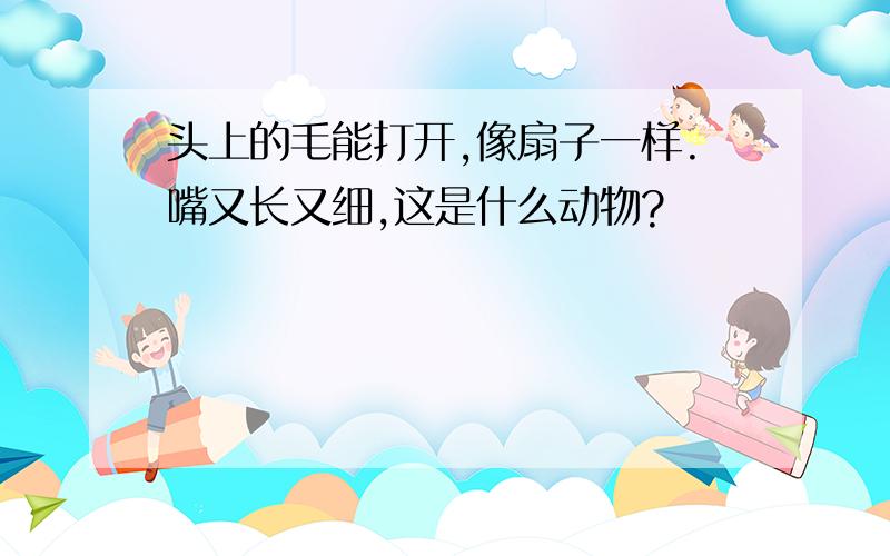 头上的毛能打开,像扇子一样.嘴又长又细,这是什么动物?