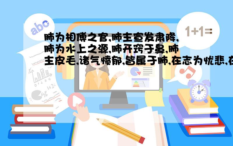 肺为相傅之官,肺主宣发肃降,肺为水上之源,肺开窍于鼻,肺主皮毛,诸气愤郁,皆属于肺,在志为忧悲,在