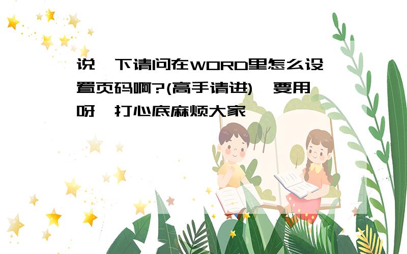 说一下请问在WORD里怎么设置页码啊?(高手请进)　要用呀,打心底麻烦大家