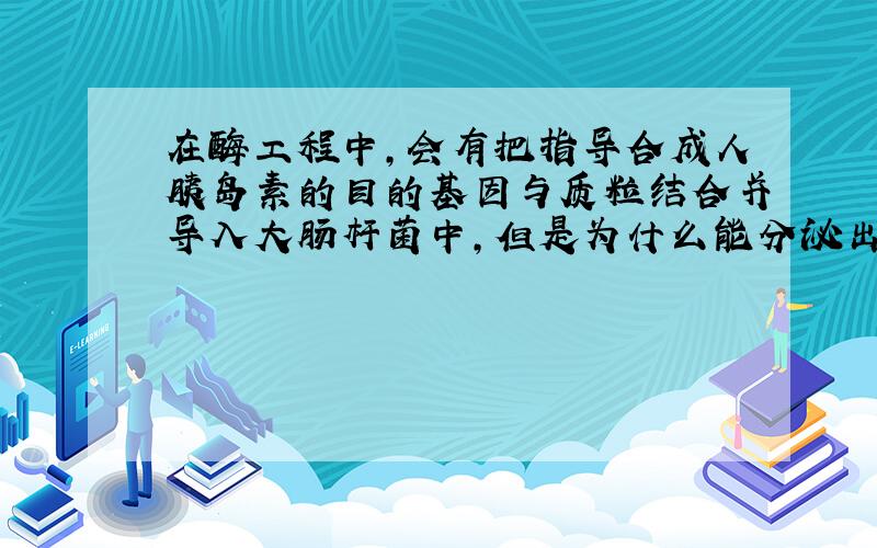 在酶工程中,会有把指导合成人胰岛素的目的基因与质粒结合并导入大肠杆菌中,但是为什么能分泌出人胰岛素