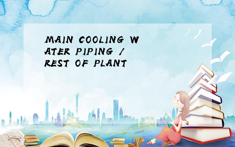 MAIN COOLING WATER PIPING / REST OF PLANT