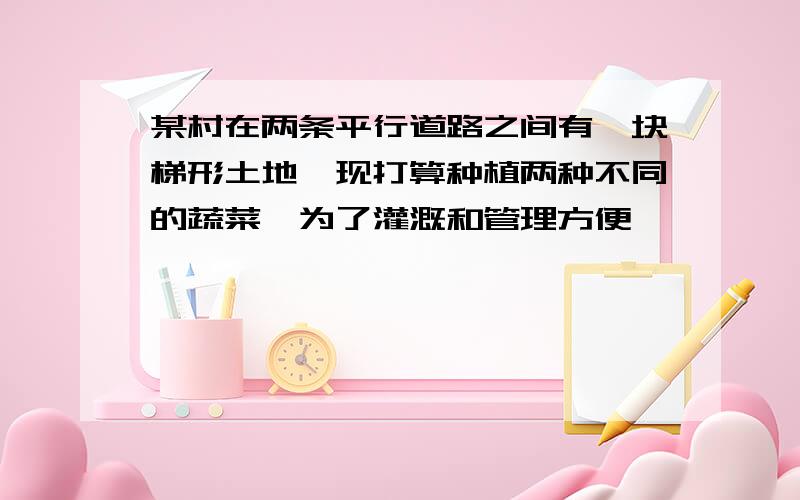 某村在两条平行道路之间有一块梯形土地,现打算种植两种不同的蔬菜,为了灌溉和管理方便