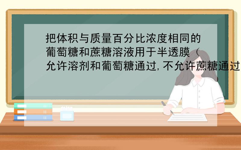 把体积与质量百分比浓度相同的葡萄糖和蔗糖溶液用于半透膜（允许溶剂和葡萄糖通过,不允许蔗糖通过）隔开