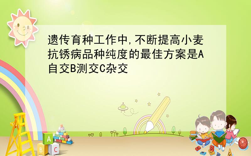 遗传育种工作中,不断提高小麦抗锈病品种纯度的最佳方案是A自交B测交C杂交