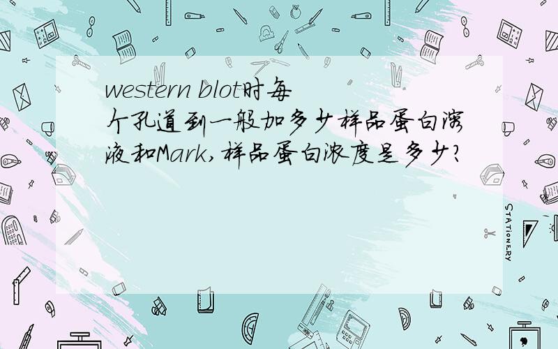 western blot时每个孔道到一般加多少样品蛋白溶液和Mark,样品蛋白浓度是多少?