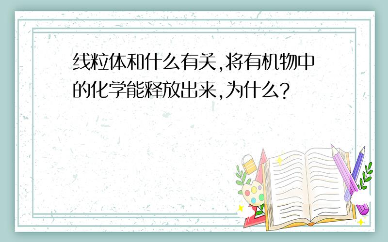 线粒体和什么有关,将有机物中的化学能释放出来,为什么?