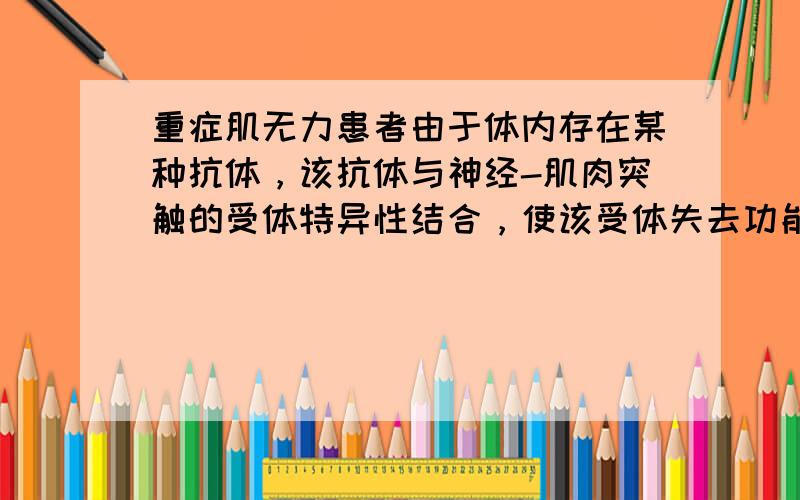 重症肌无力患者由于体内存在某种抗体，该抗体与神经-肌肉突触的受体特异性结合，使该受体失去功能，最终导致（　　）