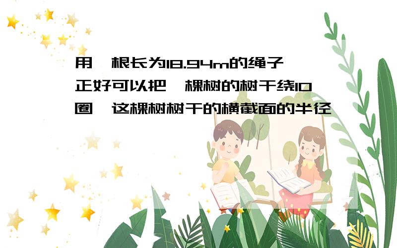 用一根长为18.94m的绳子正好可以把一棵树的树干绕10圈,这棵树树干的横截面的半径