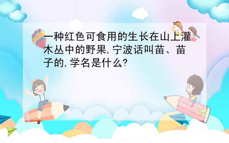 一种红色可食用的生长在山上灌木丛中的野果,宁波话叫苗、苗子的,学名是什么?