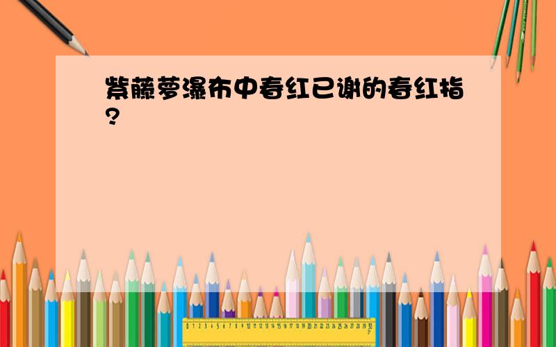 紫藤萝瀑布中春红已谢的春红指?