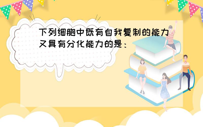 下列细胞中既有自我复制的能力又具有分化能力的是：