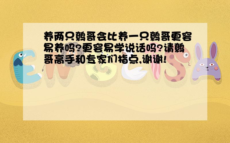 养两只鹩哥会比养一只鹩哥更容易养吗?更容易学说话吗?请鹩哥高手和专家们指点,谢谢!