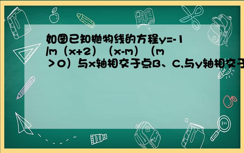 如图已知抛物线的方程y=-1/m（x+2）（x-m）（m＞0）与x轴相交于点B、C,与y轴相交于点E,且点B在点C的左