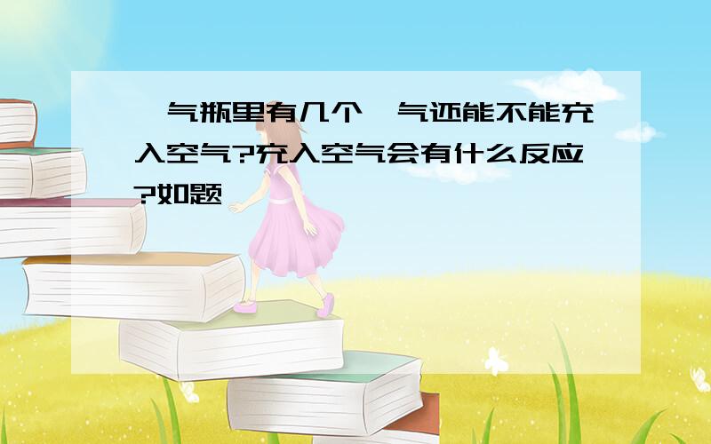 氩气瓶里有几个氩气还能不能充入空气?充入空气会有什么反应?如题