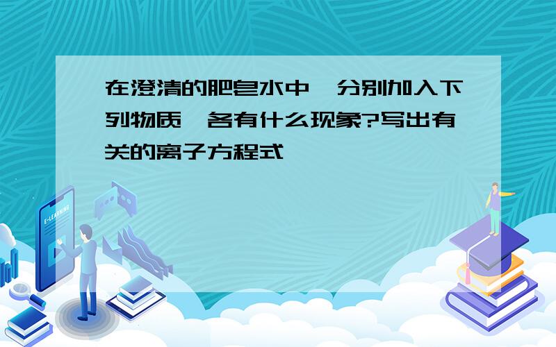 在澄清的肥皂水中,分别加入下列物质,各有什么现象?写出有关的离子方程式