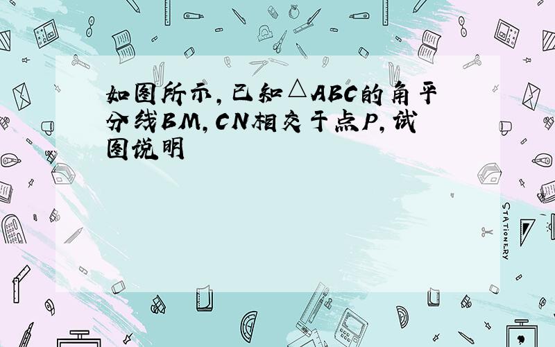 如图所示,已知△ABC的角平分线BM,CN相交于点P,试图说明