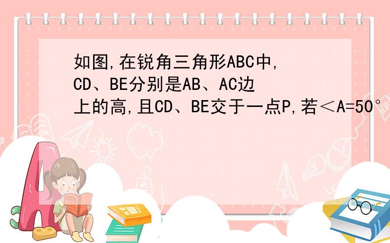 如图,在锐角三角形ABC中,CD、BE分别是AB、AC边上的高,且CD、BE交于一点P,若＜A=50°,求＜BPC的度数