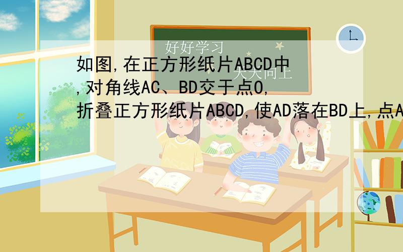 如图,在正方形纸片ABCD中,对角线AC、BD交于点O,折叠正方形纸片ABCD,使AD落在BD上,点A恰好与BD上的点F