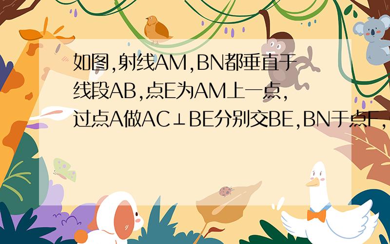 如图,射线AM,BN都垂直于线段AB,点E为AM上一点,过点A做AC⊥BE分别交BE,BN于点F,C,过点C作CD⊥AM