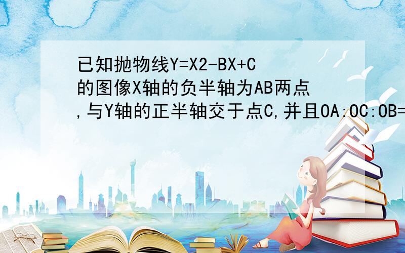 已知抛物线Y=X2-BX+C的图像X轴的负半轴为AB两点,与Y轴的正半轴交于点C,并且OA:OC:OB=1:2:3,则b