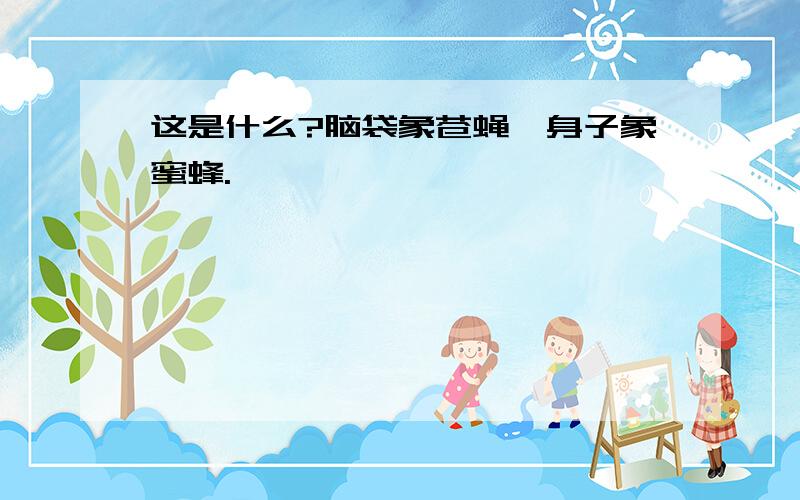 这是什么?脑袋象苍蝇,身子象蜜蜂.