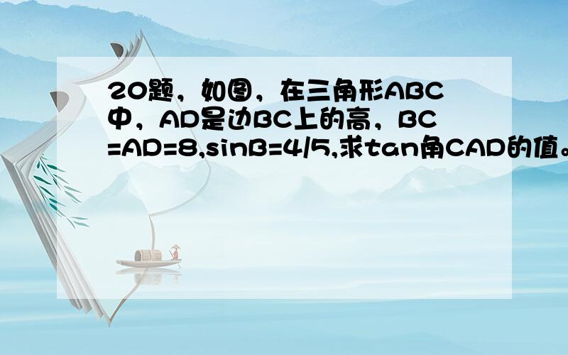 20题，如图，在三角形ABC中，AD是边BC上的高，BC=AD=8,sinB=4/5,求tan角CAD的值。 