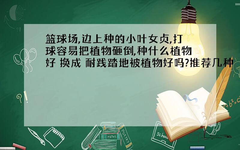 篮球场,边上种的小叶女贞,打球容易把植物砸倒,种什么植物好 换成 耐践踏地被植物好吗?推荐几种