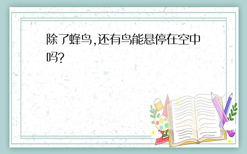 除了蜂鸟,还有鸟能悬停在空中吗?