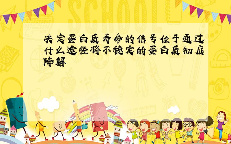 决定蛋白质寿命的信号位于通过什么途径将不稳定的蛋白质彻底降解