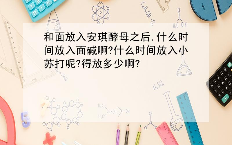 和面放入安琪酵母之后,什么时间放入面碱啊?什么时间放入小苏打呢?得放多少啊?