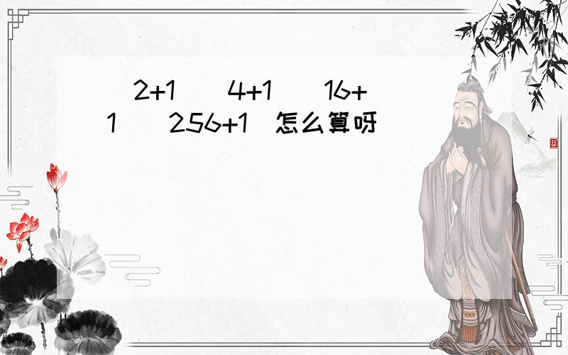 （2+1）（4+1）（16+1）（256+1）怎么算呀