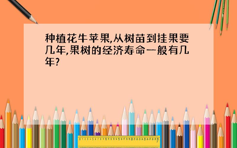 种植花牛苹果,从树苗到挂果要几年,果树的经济寿命一般有几年?