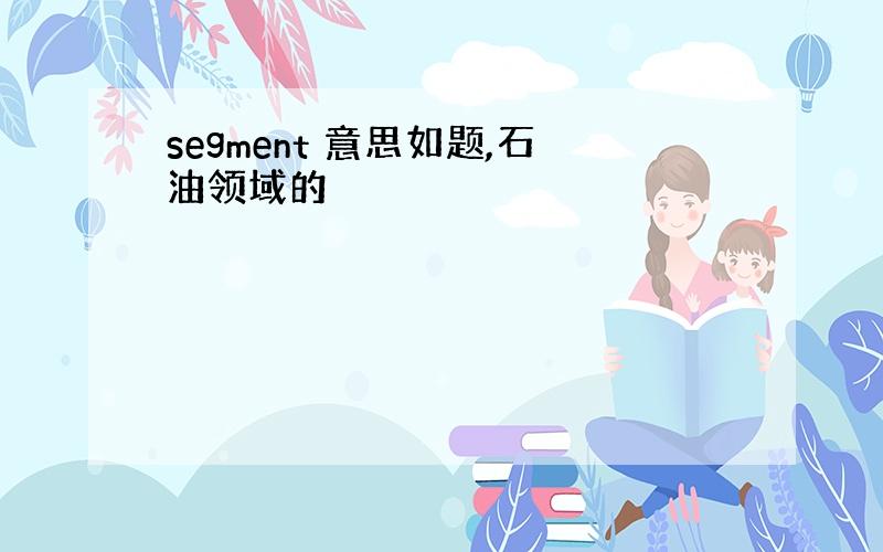 segment 意思如题,石油领域的